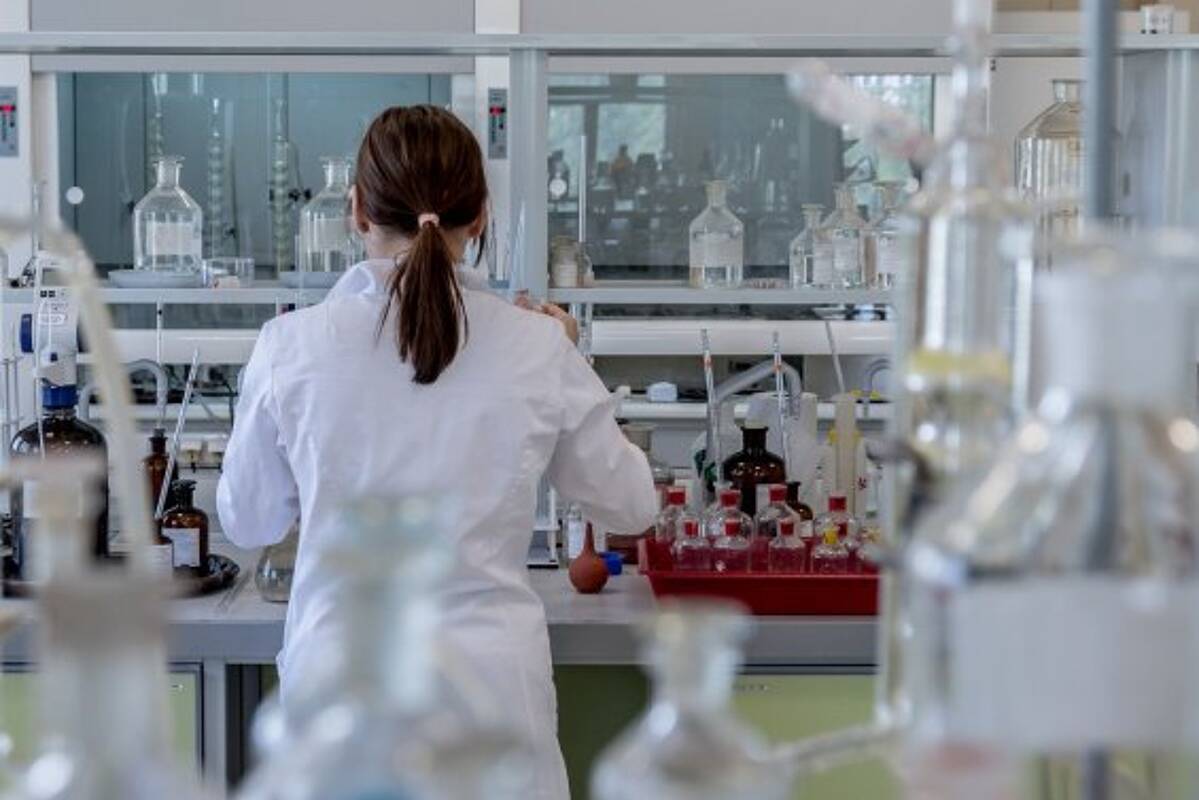 Recherches sur le cannabis